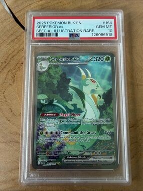 good pokemon card sets The Best Pokmon Card Art Sets That Tell Amazing Stories